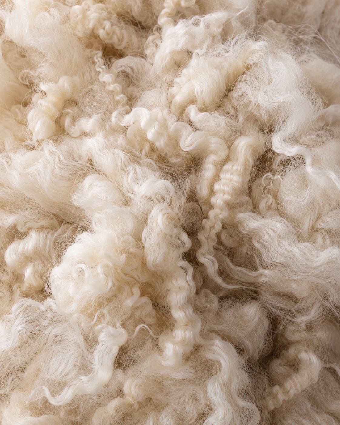 Close-up of crimped cream wool